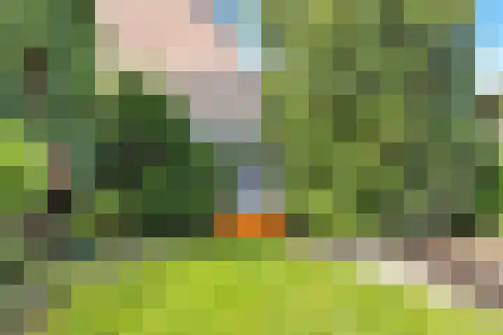 Glanzerhof 19 A Helmond thumbnail 46