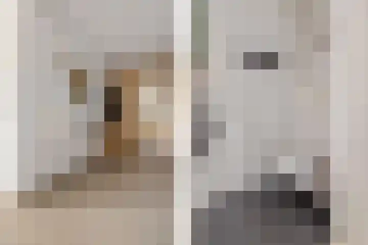 Glasblazerstraat 21 Leerdam thumbnail 25