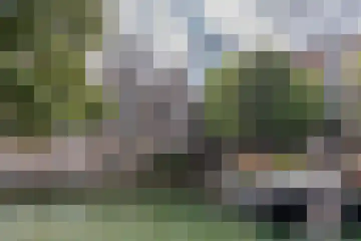 Glashaven 103 Rotterdam thumbnail 17