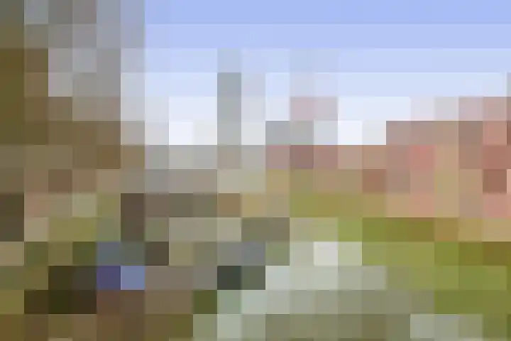 Glashaven 135 Rotterdam thumbnail 24