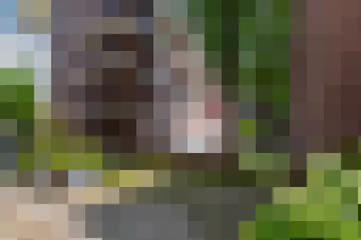Glashaven 7 Rotterdam thumbnail 28