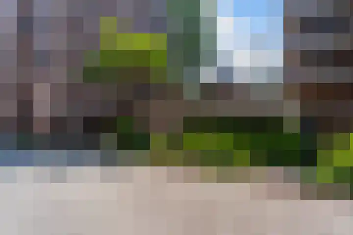 Glashaven 7 Rotterdam thumbnail 30
