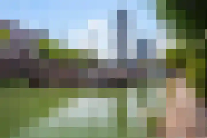Glashaven 7 Rotterdam thumbnail 31