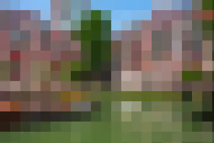 Glashaven 7 Rotterdam thumbnail 43