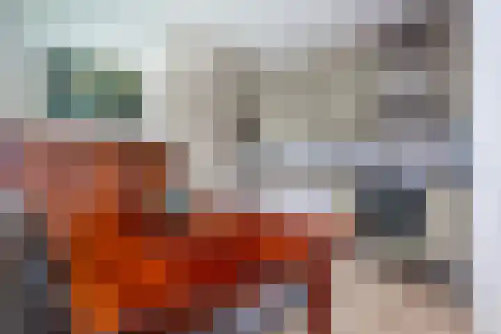 Glashaven 7 Rotterdam thumbnail 8