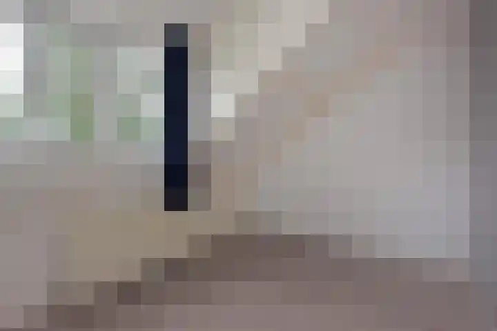Glaskruid 13 Breukelen thumbnail 23