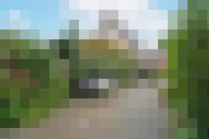Glaskruid 13 Breukelen thumbnail 26