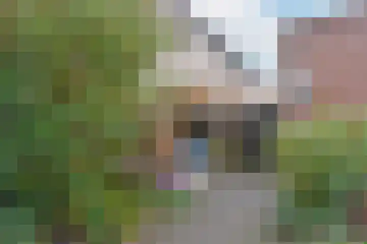 Glaskruid 13 Breukelen thumbnail 27