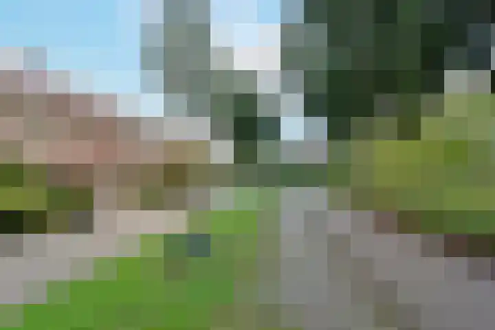 Glaskruid 13 Breukelen thumbnail 28