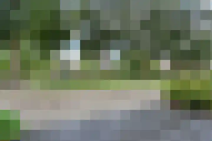Glaskruid 13 Breukelen thumbnail 29