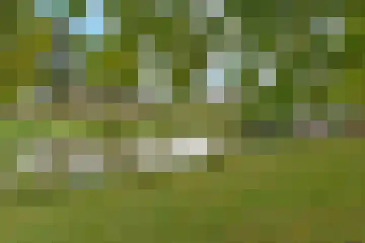 Glaskruid 13 Breukelen thumbnail 30
