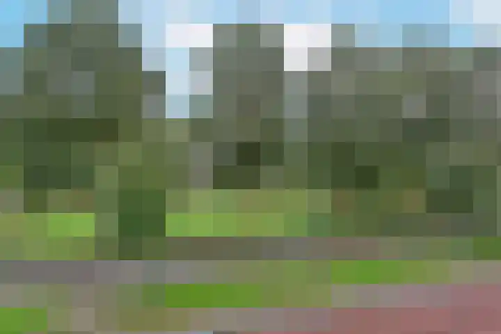 Glaskruid 13 Breukelen thumbnail 31