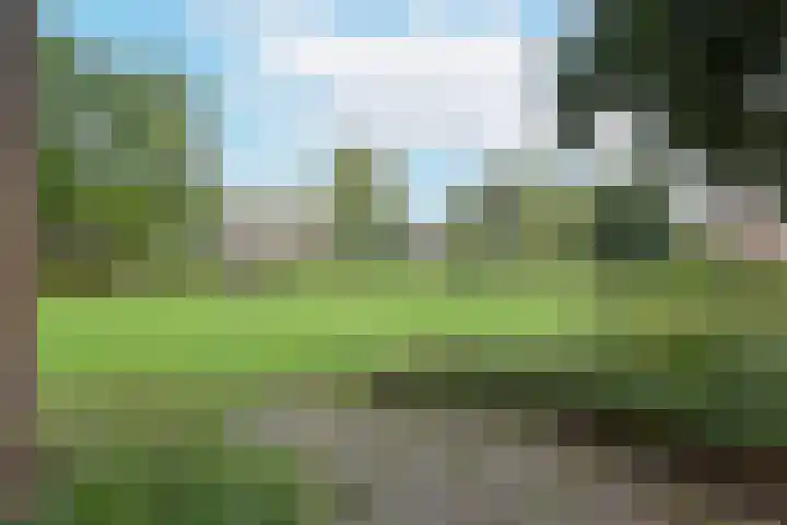Glaskruid 13 Breukelen thumbnail 32