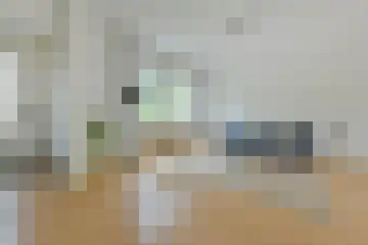 Glaskruid 13 Breukelen thumbnail 7