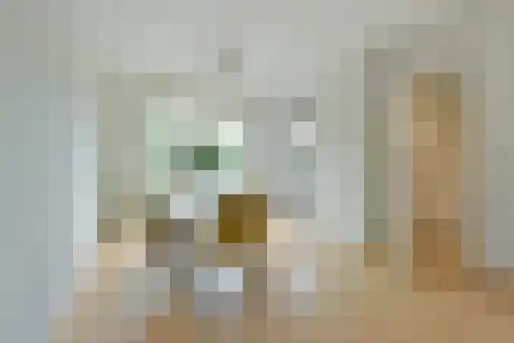 Glaskruid 13 Breukelen thumbnail 9
