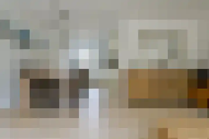 Glaskruid 6 Breukelen thumbnail 10