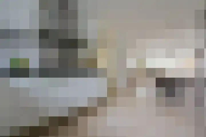 Glaskruid 6 Breukelen thumbnail 12