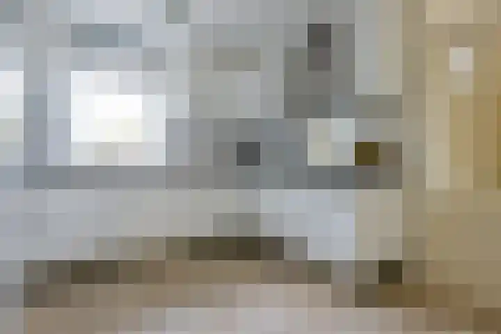 Glaskruid 6 Breukelen thumbnail 13