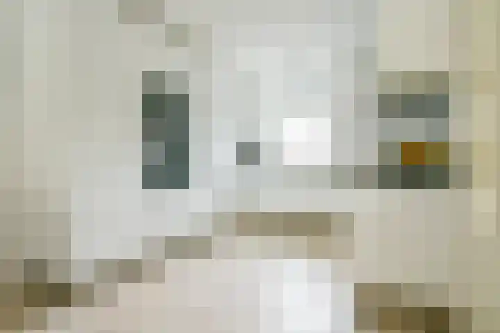 Glaskruid 6 Breukelen thumbnail 16