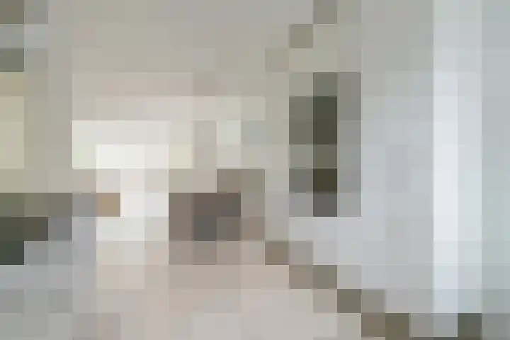 Glaskruid 6 Breukelen thumbnail 17