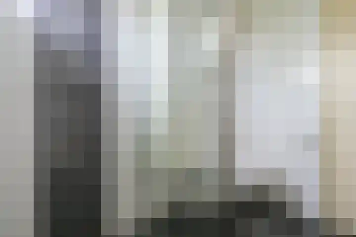 Glaskruid 6 Breukelen thumbnail 19