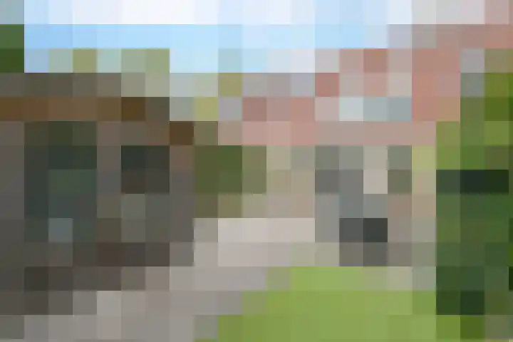 Glaskruid 6 Breukelen foto 2