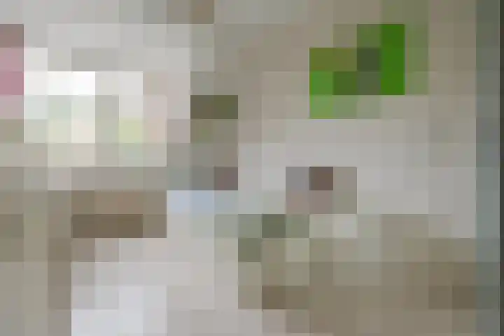 Glaskruid 6 Breukelen thumbnail 21