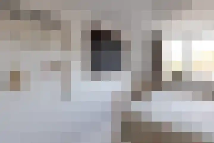 Glaskruid 6 Breukelen thumbnail 24