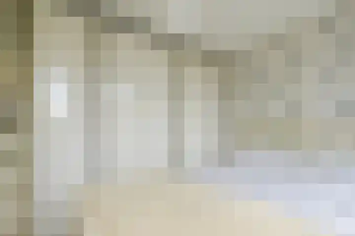 Glaskruid 6 Breukelen thumbnail 25