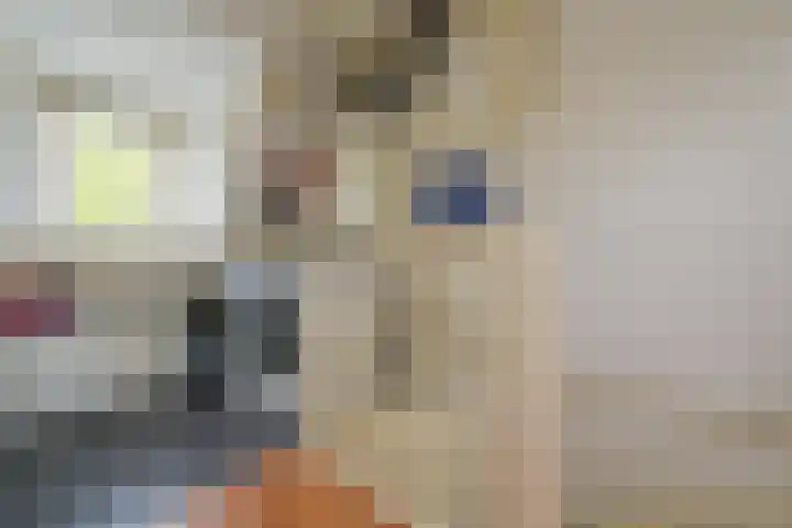 Glaskruid 6 Breukelen thumbnail 29