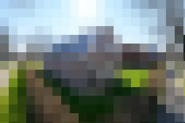 Glaskruid 6 Breukelen thumbnail 30