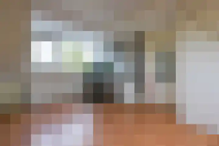 Glaskruid 6 Breukelen thumbnail 30