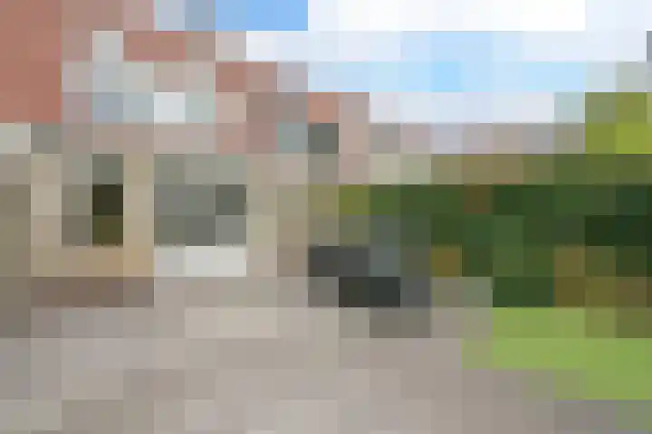 Glaskruid 6 Breukelen thumbnail 32