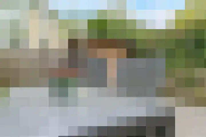 Glaskruid 6 Breukelen thumbnail 33