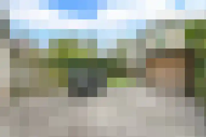 Glaskruid 6 Breukelen thumbnail 34