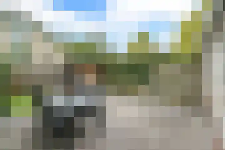 Glaskruid 6 Breukelen thumbnail 35