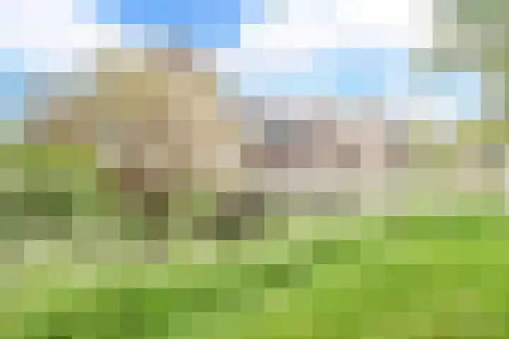 Glaskruid 6 Breukelen thumbnail 36