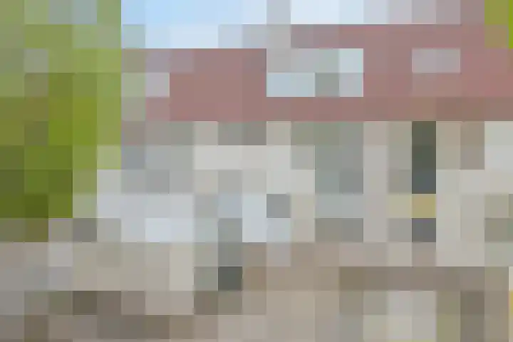 Glaskruid 6 Breukelen thumbnail 37