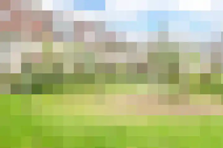 Glaskruid 6 Breukelen thumbnail 38