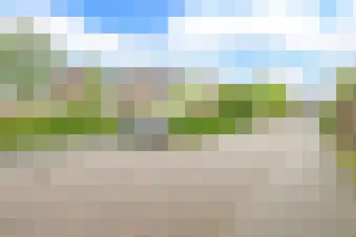 Glaskruid 6 Breukelen thumbnail 39