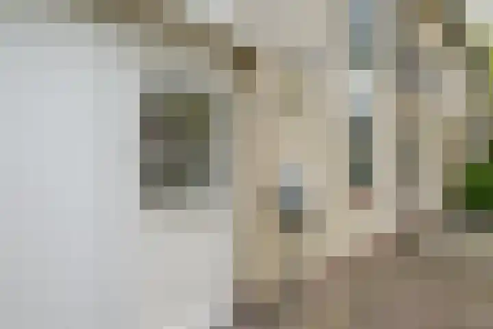 Glaskruid 6 Breukelen thumbnail 4