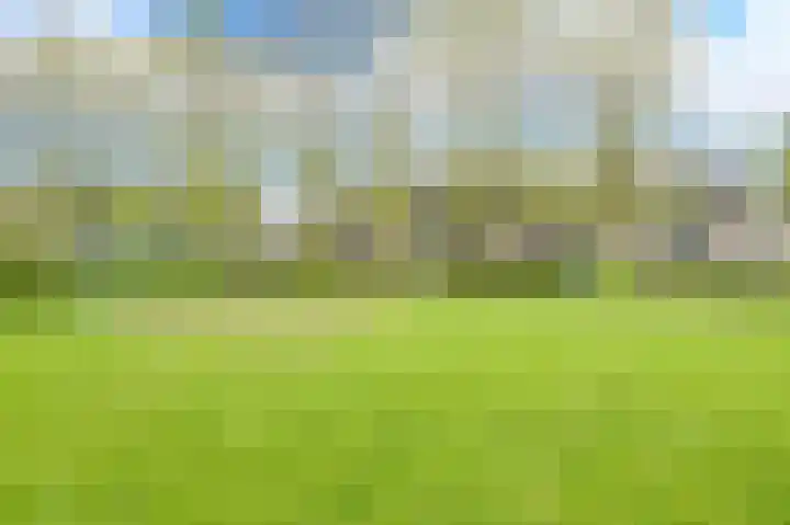 Glaskruid 6 Breukelen thumbnail 40