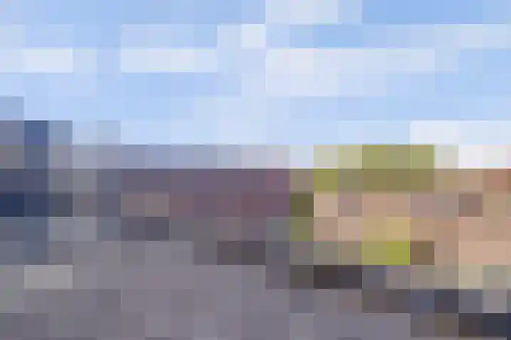 Glaskruid 6 Breukelen thumbnail 43