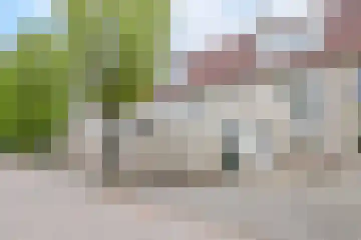 Glaskruid 6 Breukelen thumbnail 46