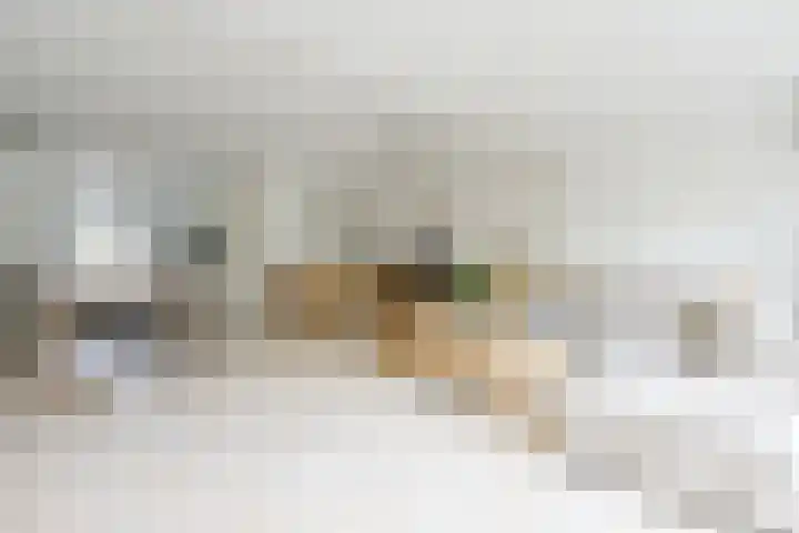 Glaskruid 6 Breukelen thumbnail 6