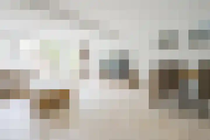 Glaskruid 6 Breukelen thumbnail 8