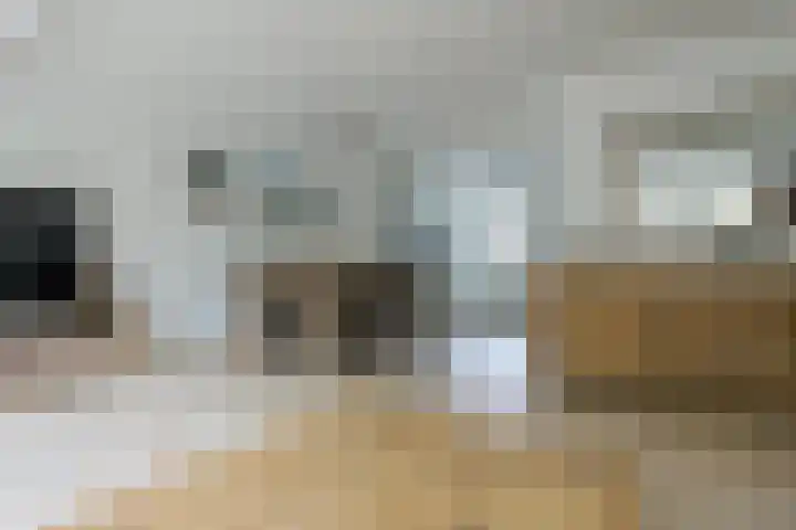 Glaskruid 6 Breukelen thumbnail 9