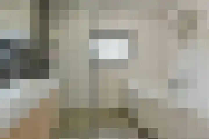 Glaskruid 9 Breukelen thumbnail 14