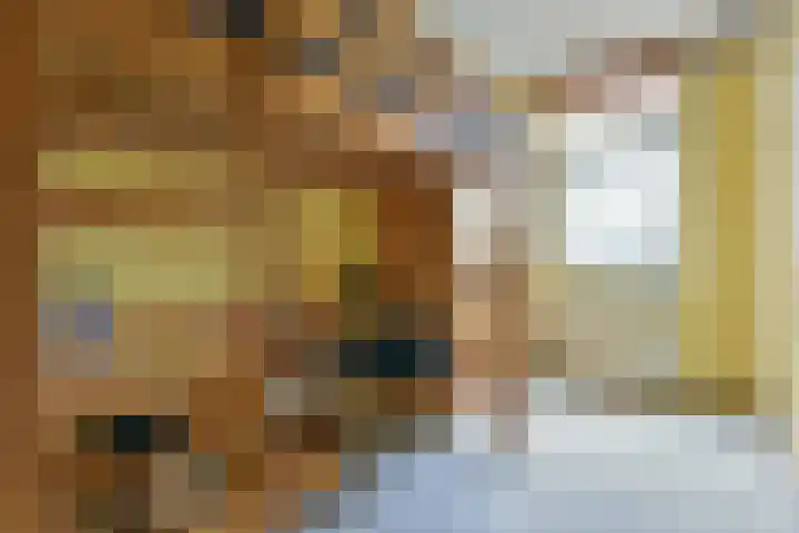 Glaskruid 9 Breukelen thumbnail 17