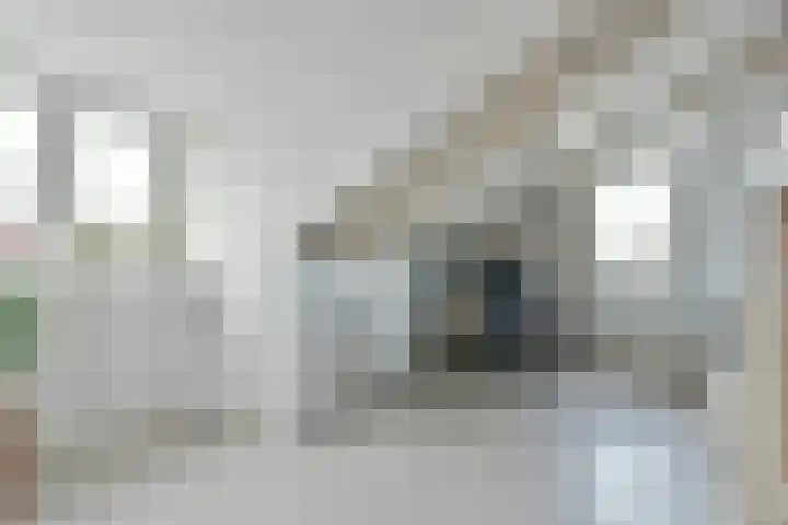Glaskruid 9 Breukelen thumbnail 19